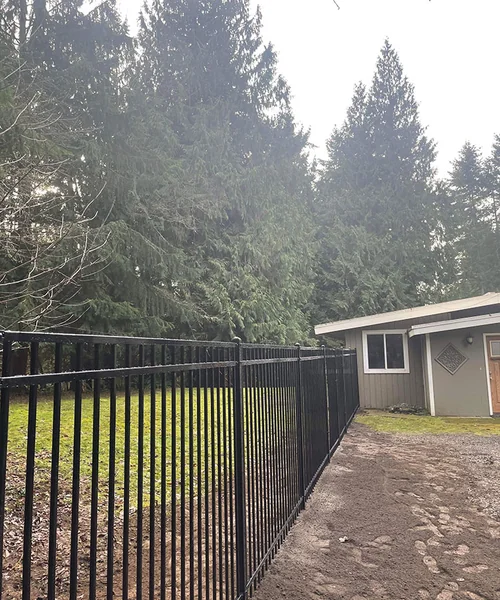 Ornament Iron in Redmond 